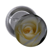 White Rose and meaning Pinback Buttons