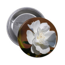 White Rose and meaning Pins