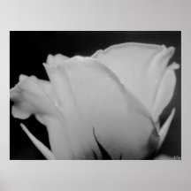 White, S Cyr Print