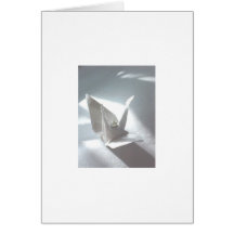 White Satin Crane Cards