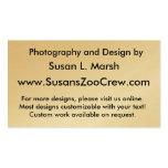 White tiger against blue water walking photograph business card template
