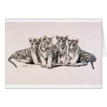 White Tiger Cubs of Royalty Cards