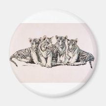White Tiger Cubs of Royalty Fridge Magnets