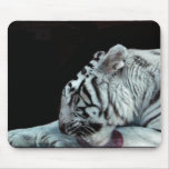 White Tiger grooming Mouse Pads