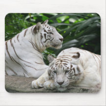 white tigers mousepads