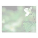 White trillium custom invitations