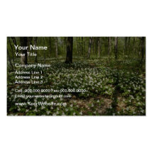 white Trilliums, Morgan Arboretum, Montreal, Quebe Business Cards