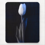 White tulip mousemats