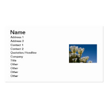 White Tulips Photo Business Cards