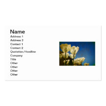 White Tulips Photo with Floral Swirl Pattern Business Card Template