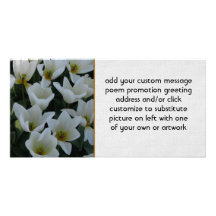 White Tulips Picture Card