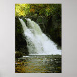 White Water Falls Print