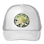 White Water Lily Baseball Hat