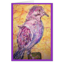 White-winged Dove art Greeting Cards