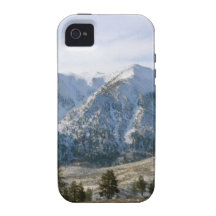 White Winters Case-Mate iPhone 4 Cover