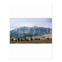 White Winters Post Card