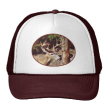 Whitetail Deer - Buck Hat