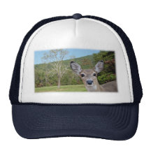Whitetail Deer - Doe Hat