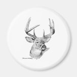 Whitetail Deer Refrigerator Magnets