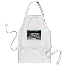Wide River Waterfalls Apron