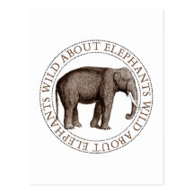 Wild About Elephants Postcard