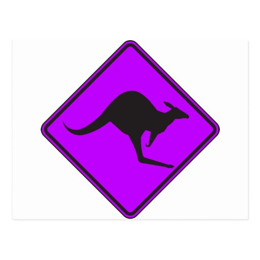 Wild Australian Kangaroo Marsupial Roo Silhouette Post Card