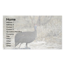 Wild chicken business card template