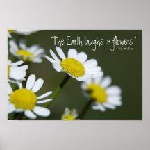 Wild Daisy Print