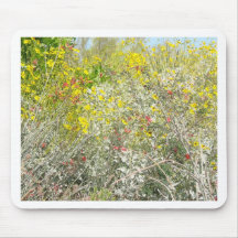 Wild desert mouse pad