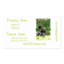 Wild Dog Business Card