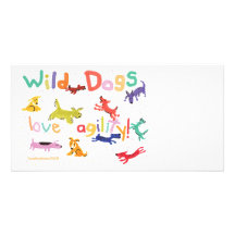 Wild Dogs Photo Card