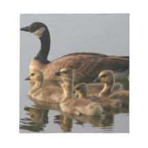 Wild duck family note pads