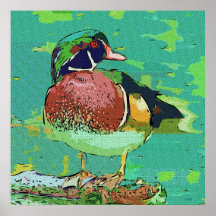 Wild Duck Print