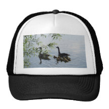 Wild Geese Hat