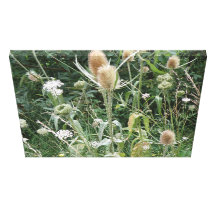 Wild Grasses Canvas Print