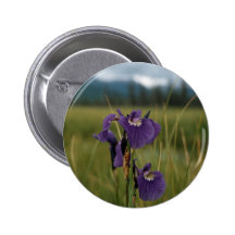 Wild Iris Pinback Buttons
