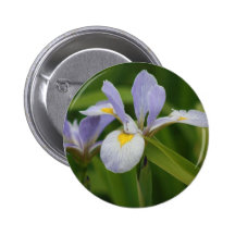 Wild Iris Pinback Buttons