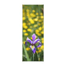 Wild Iris Series No. 9 Gallery Wrapped Canvas
