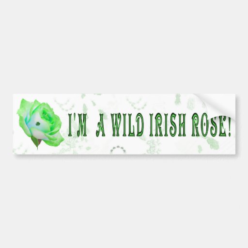Wild Irish Rose Bumper Stickers
