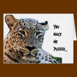 Wild Leopards cards
