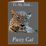 Wild Leopards cards
