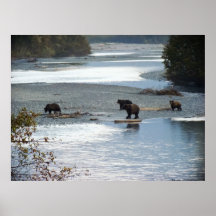 Wild Life Print
