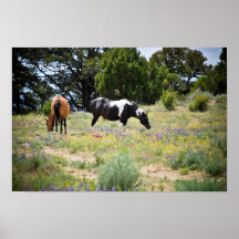 Wild Mares Posters