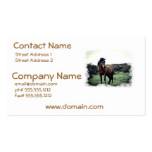 Wild Mustang Business Cards