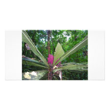 Wild palnts and flowers in the rain forrest photo card template