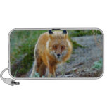 Wild Red Fox Vixen Wildlife Photo Art iPhone Speaker
