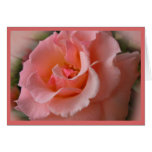 Wild Rose Cards Flowers Custom Greeting Card