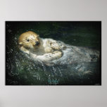 Wild Sea Otter Drifting in Ocean Water Art Poster