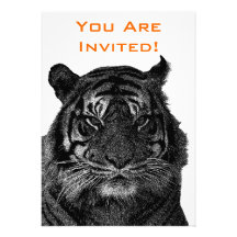 Wild Tiger in Black and White Custom Announcements
