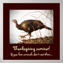 Wild Turkey Vegetarian Poster
